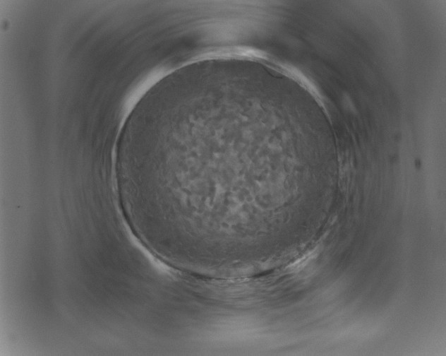 X0000071761103200606301124