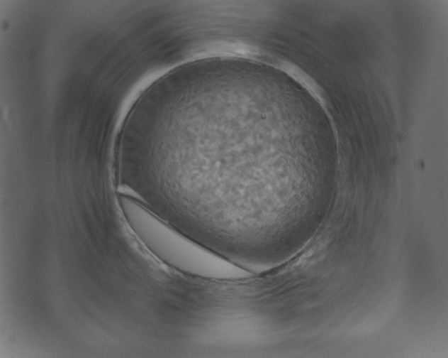 X0000071761104200606301124