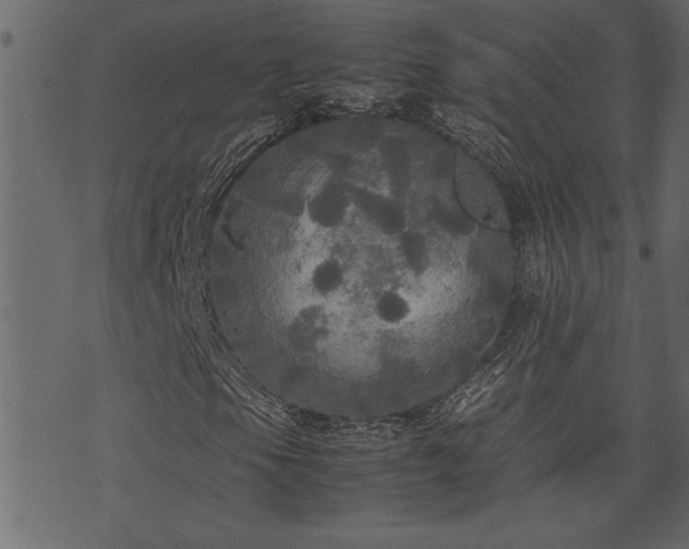 X0000071761105200606301123