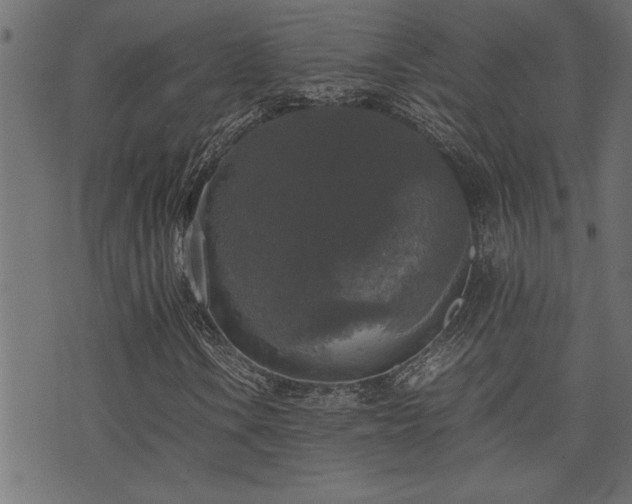 X0000071761106200606301123