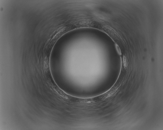 X0000071761107200606301123