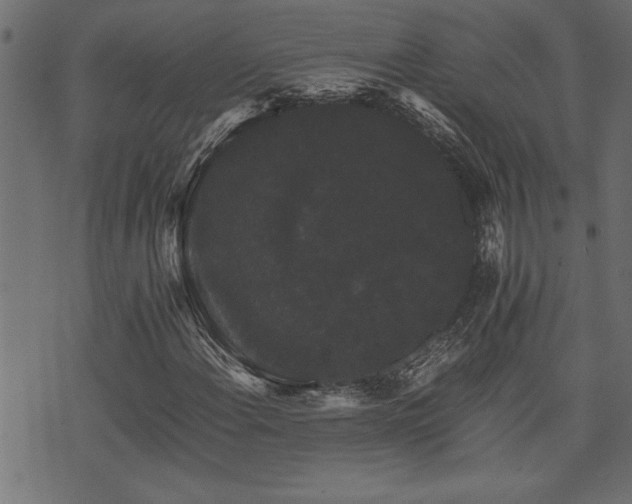 X0000071761108200606301123