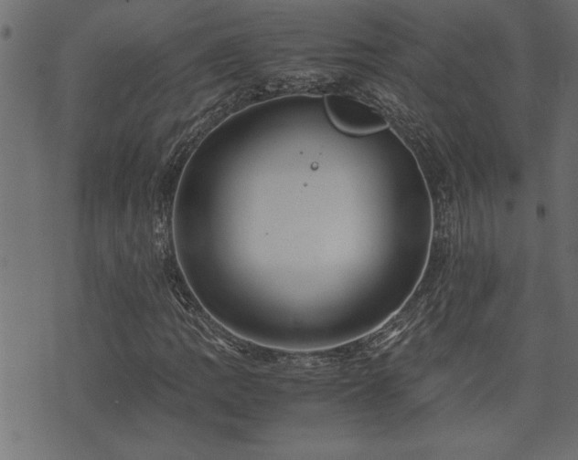 X0000071761109200606301123