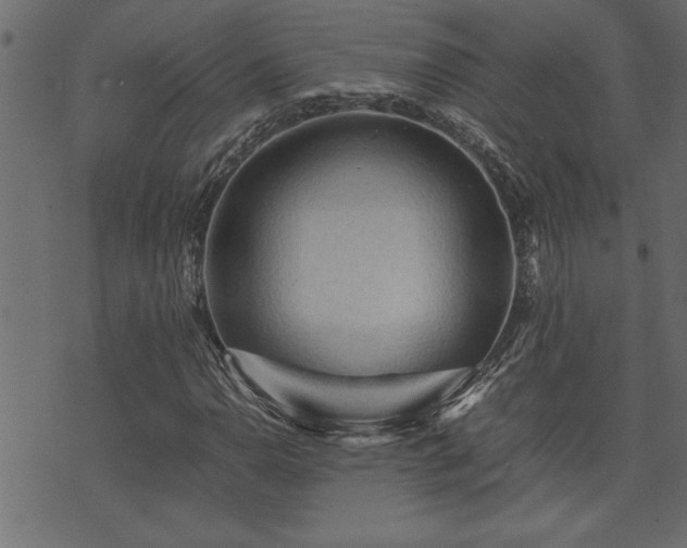 X0000071761110200606301123