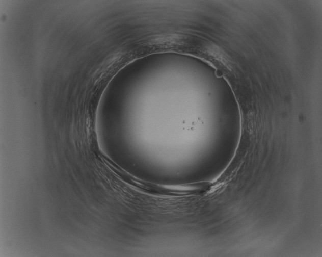 X0000071761111200606301123