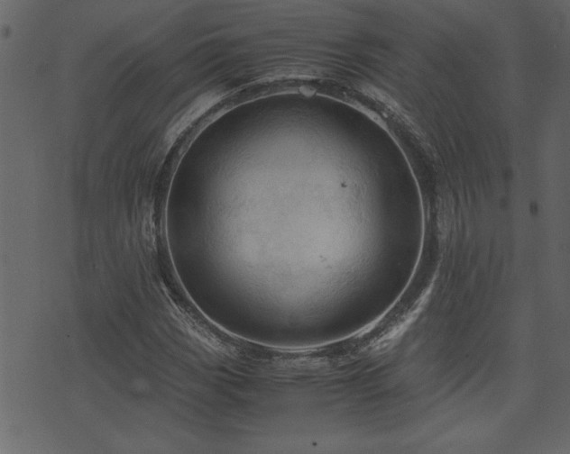 X0000071761113200606301123