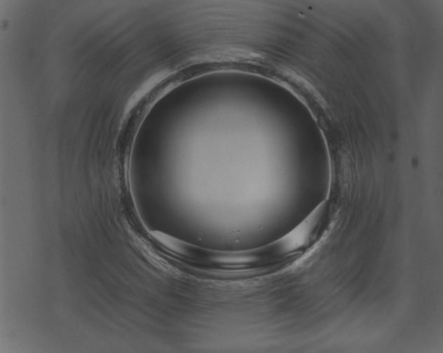 X0000071761114200606301123