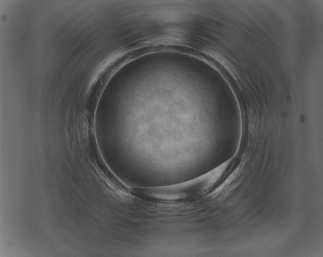 X0000071761115200606301123