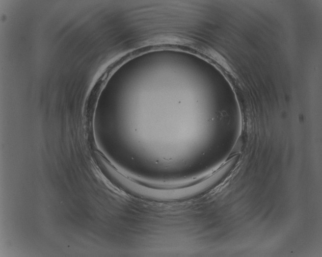 X0000071761116200606301123