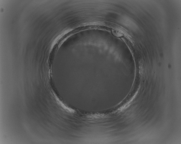 X0000071761117200606301123