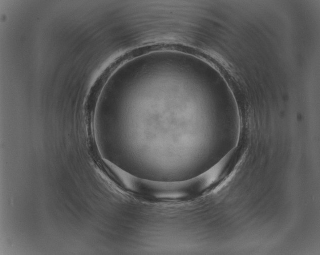 X0000071761118200606301123