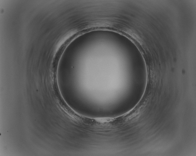 X0000071761119200606301123