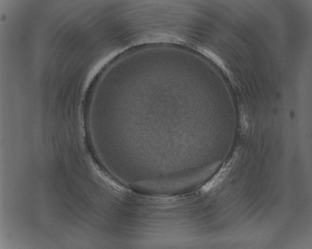 X0000071761120200606301123