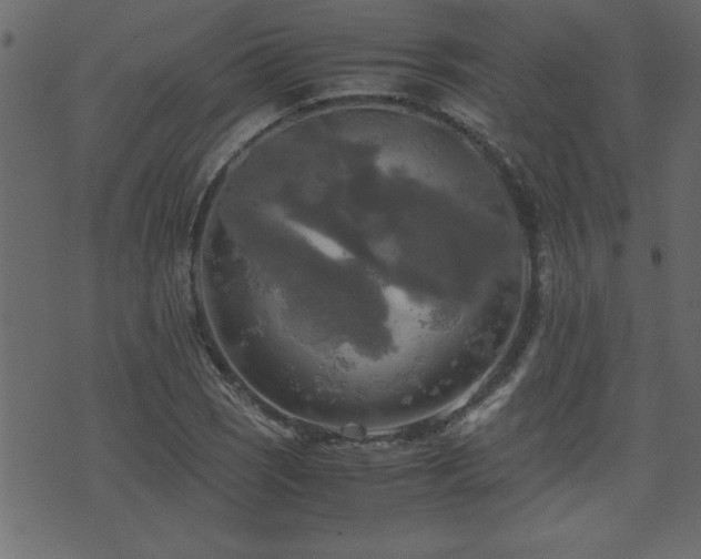 X0000071761121200606301123