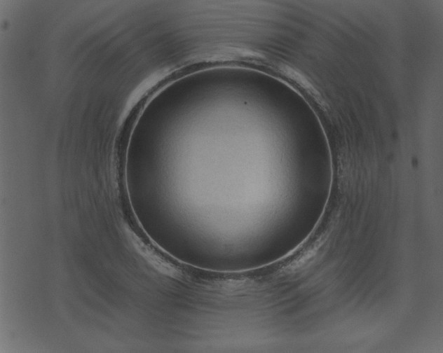 X0000071761122200606301123