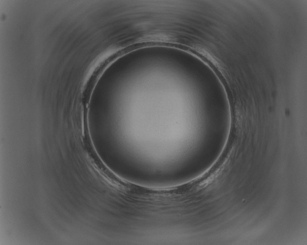 X0000071761123200606301123