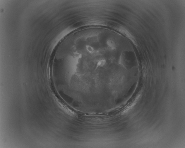 X0000071761125200606301123