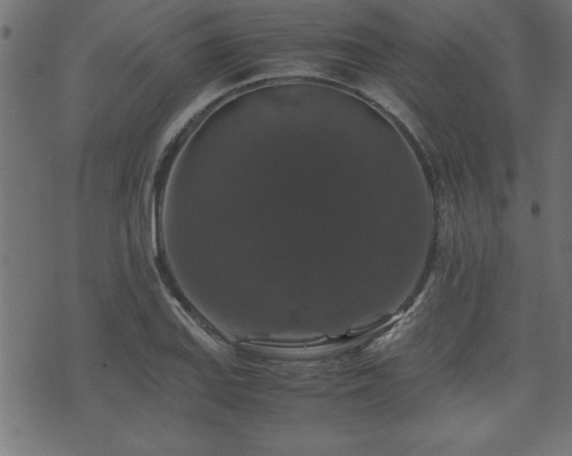 X0000071761127200606301124