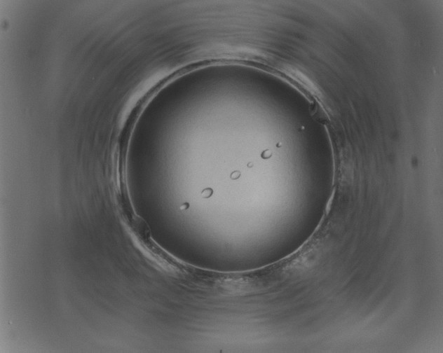 X0000071761128200606301124