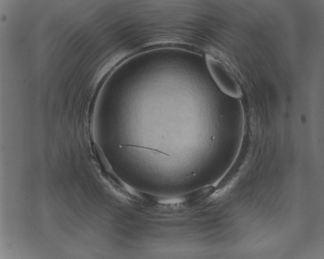 X0000071761129200606301124