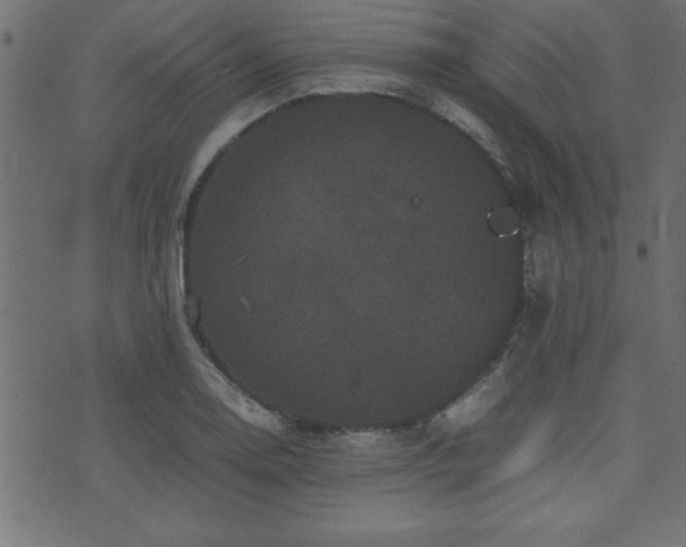 X0000071761130200606301124