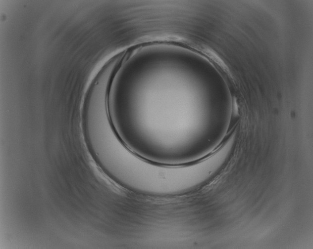 X0000071761132200606301124