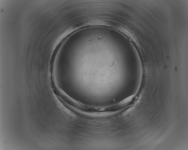 X0000071761133200606301124