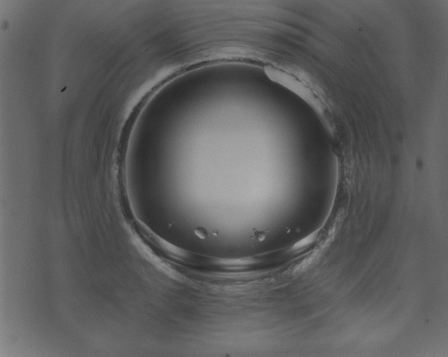 X0000071761134200606301124