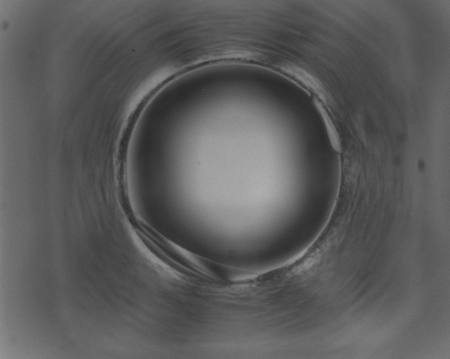 X0000071761135200606301124