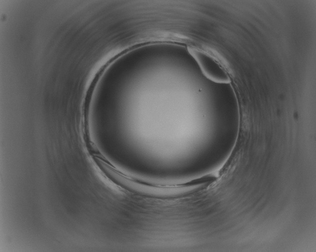 X0000071761136200606301124