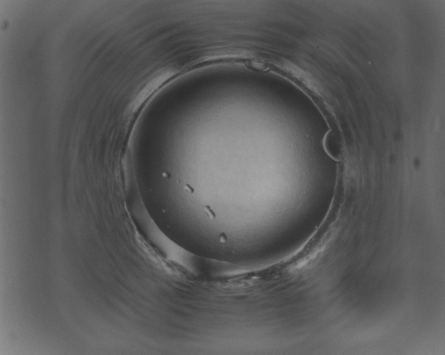 X0000071761137200606301124