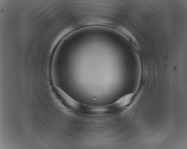 X0000071761138200606301124