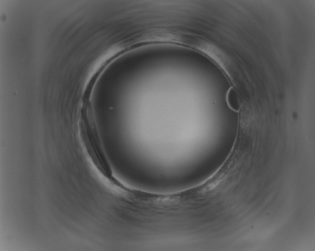 X0000071761139200606301124