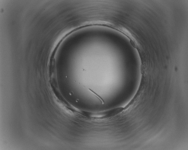 X0000071761140200606301124