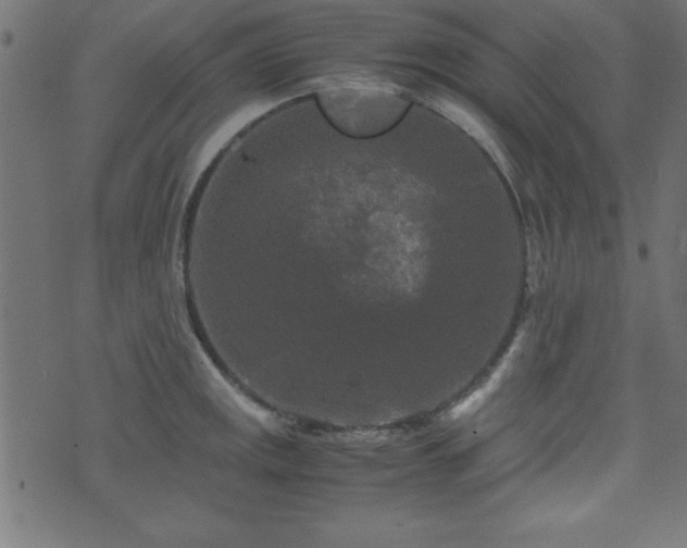 X0000071761141200606301124