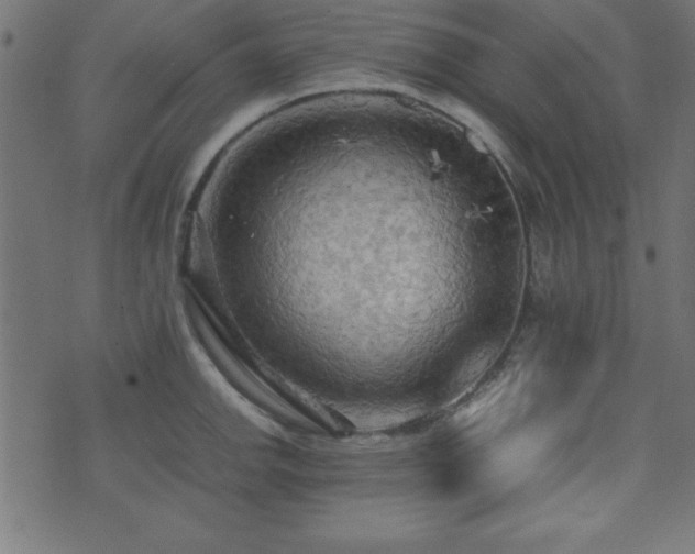 X0000071761142200606301124