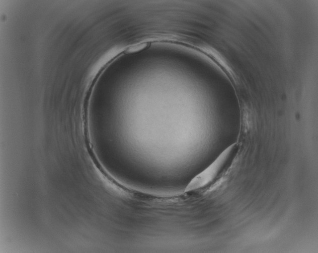 X0000071761143200606301124