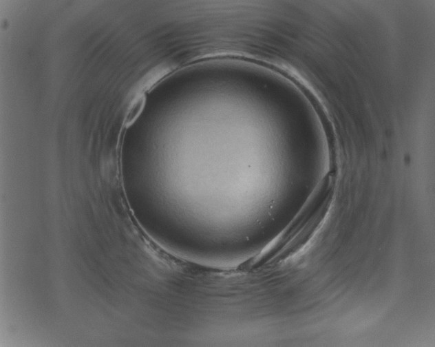 X0000071761145200606301124