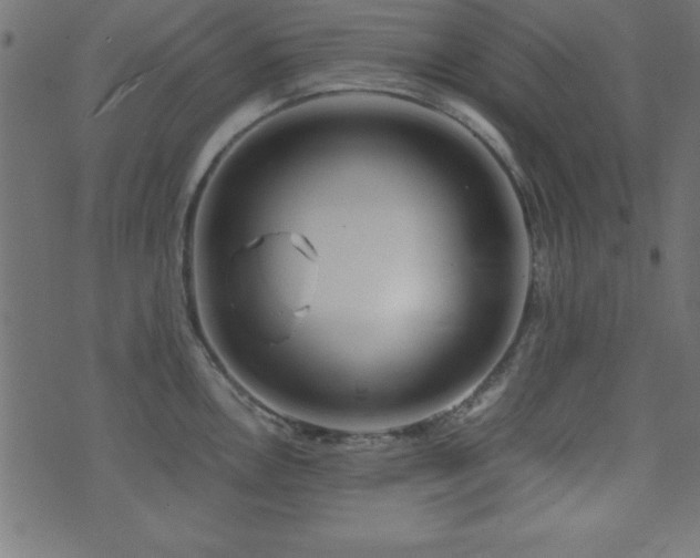 X0000071761146200606301124