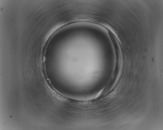 X0000071761147200606301124