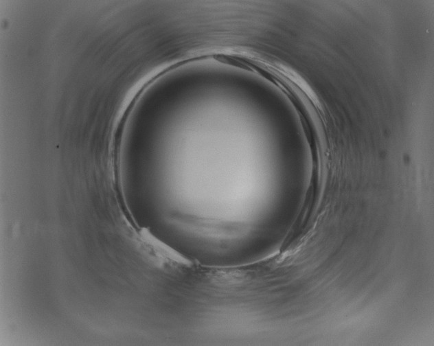 X0000071761148200606301124