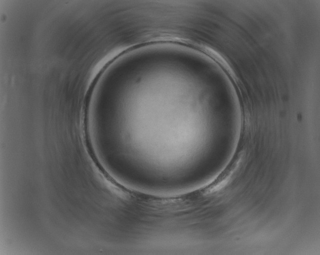 X0000071761149200606301124