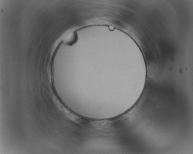 X0000071761150200606301124