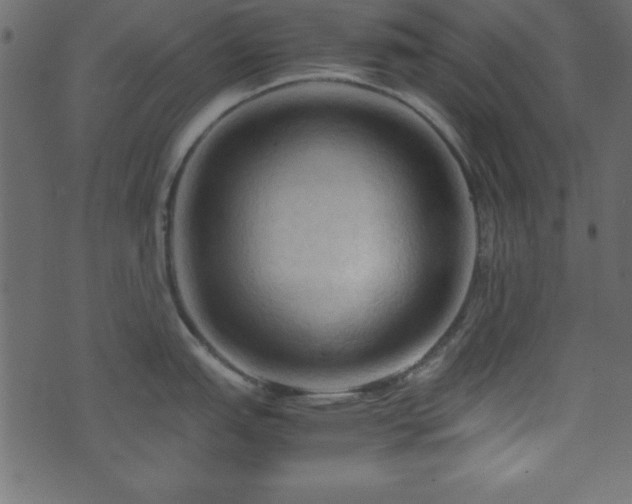 X0000071761151200606301124