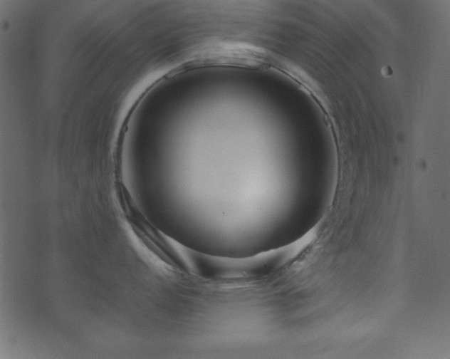 X0000071761152200606301124