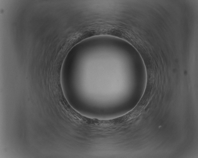 X0000071761153200606301123