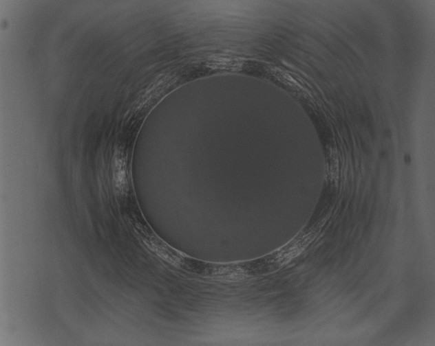 X0000071761154200606301123