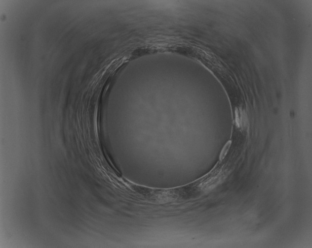 X0000071761155200606301123