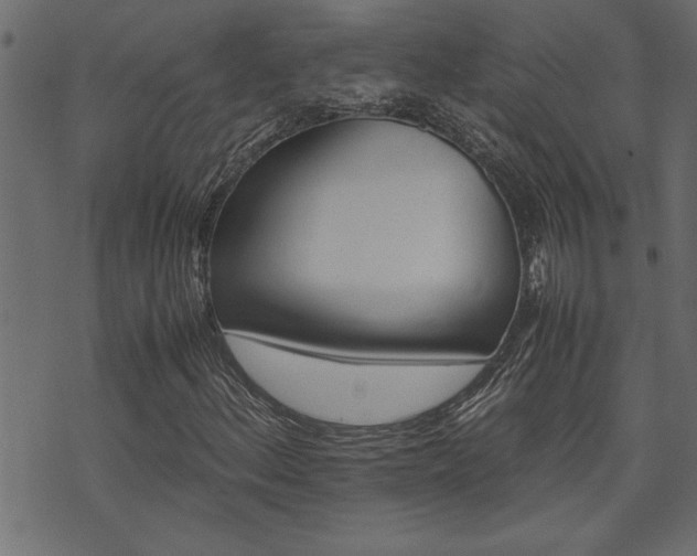 X0000071761156200606301123