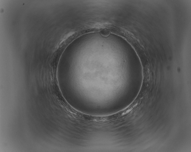 X0000071761158200606301123